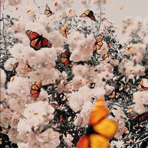 Meet your Posher, Mariana